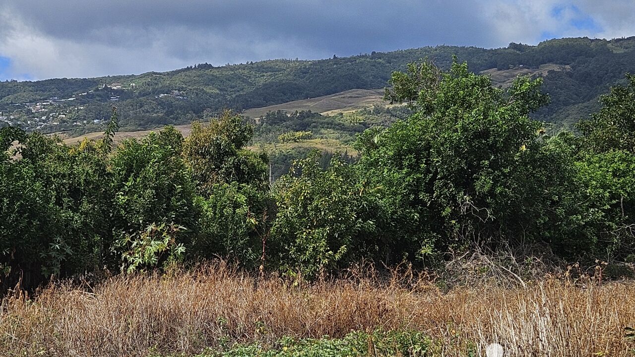 terrain  pièces 401 m2 à vendre à Saint-Denis (97400)