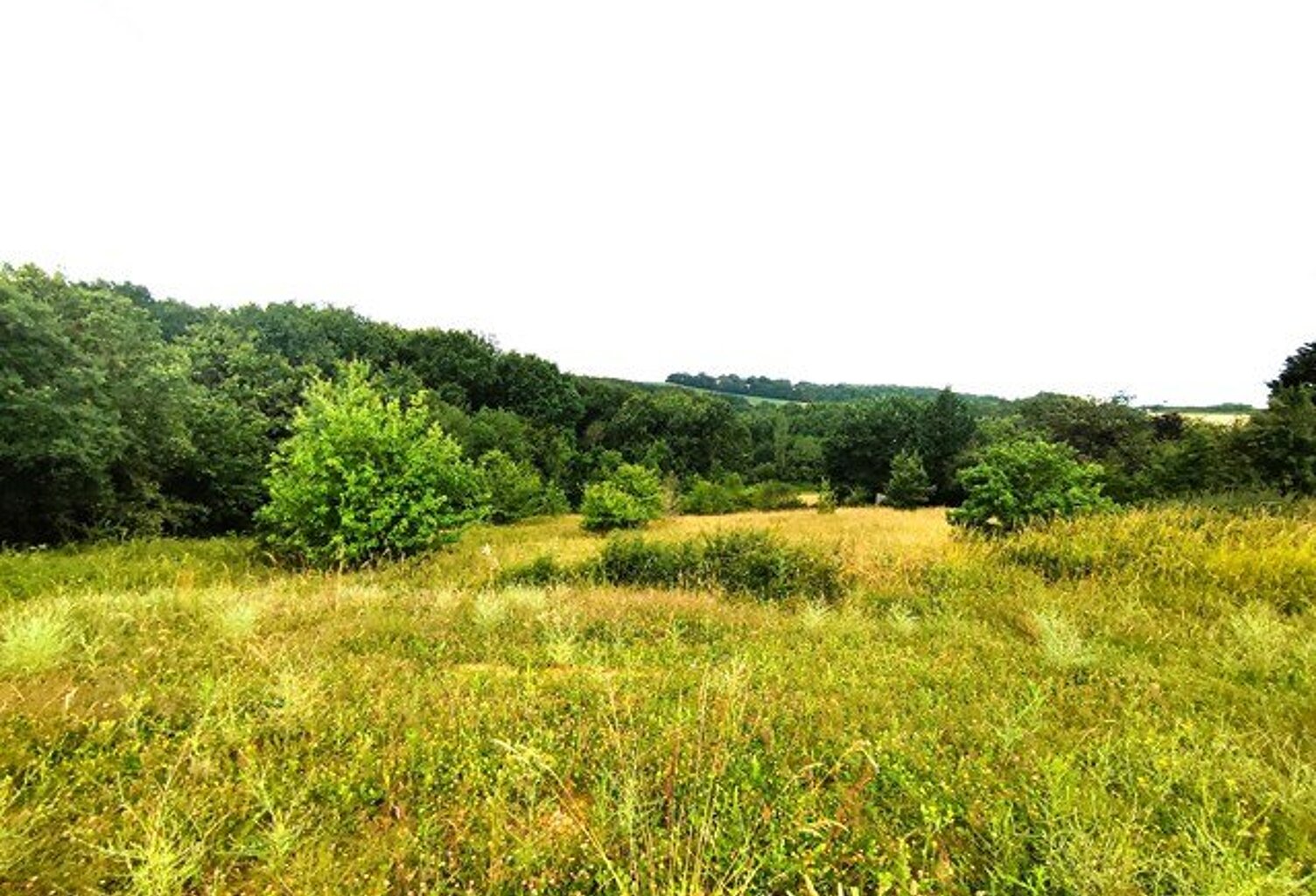 MONCLAR DE QUERCY — photo 1