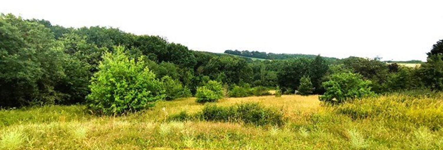 Terrain  2227 m² à vendre à Monclar-de-Quercy (82230)