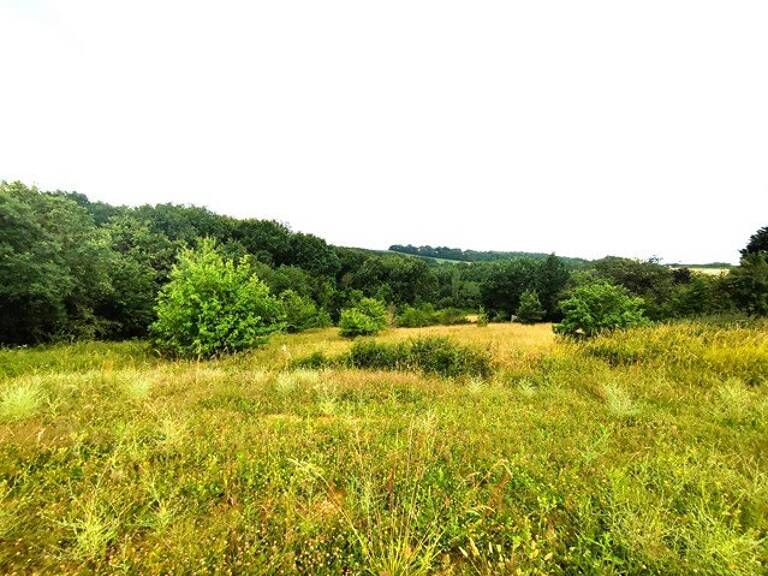 MONCLAR DE QUERCY — photo 1