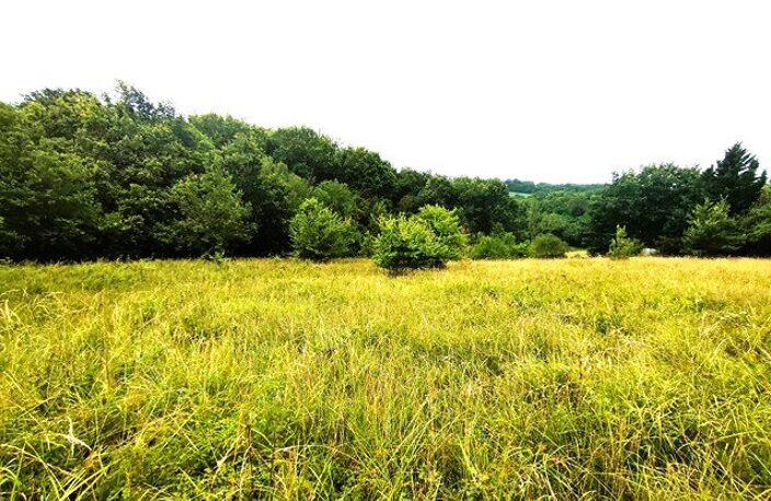 MONCLAR DE QUERCY — photo 2