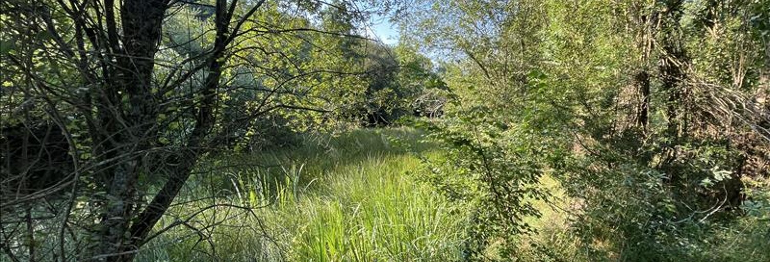 Terrain  8967 m² à vendre à La Châtre (36400)