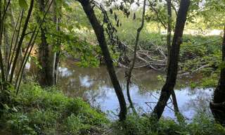 Terrain  8967 m² à vendre à La Châtre (36400)