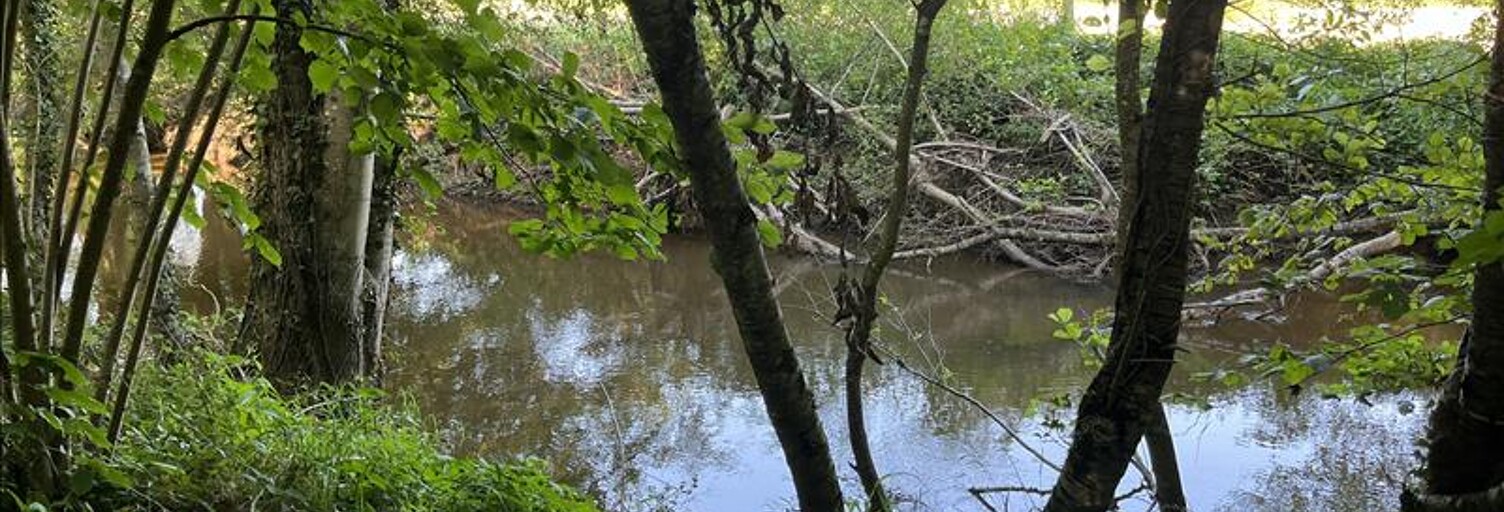 Terrain  8967 m² à vendre à La Châtre (36400)