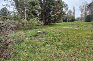 terrain  pièces 2400 m2 à vendre à Ménesplet (24700)