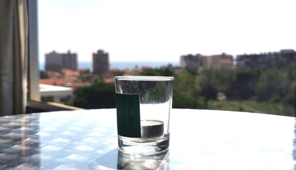 Appartement 1 pièces  à vendre Canet-Plage 66140