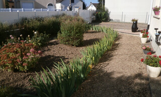Photo N° 6