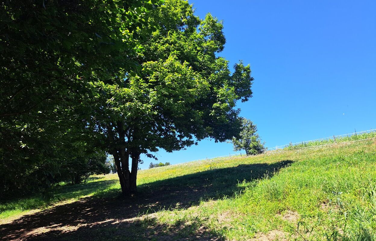 terrain  pièces 11000 m2 à vendre à Juillac (19350)