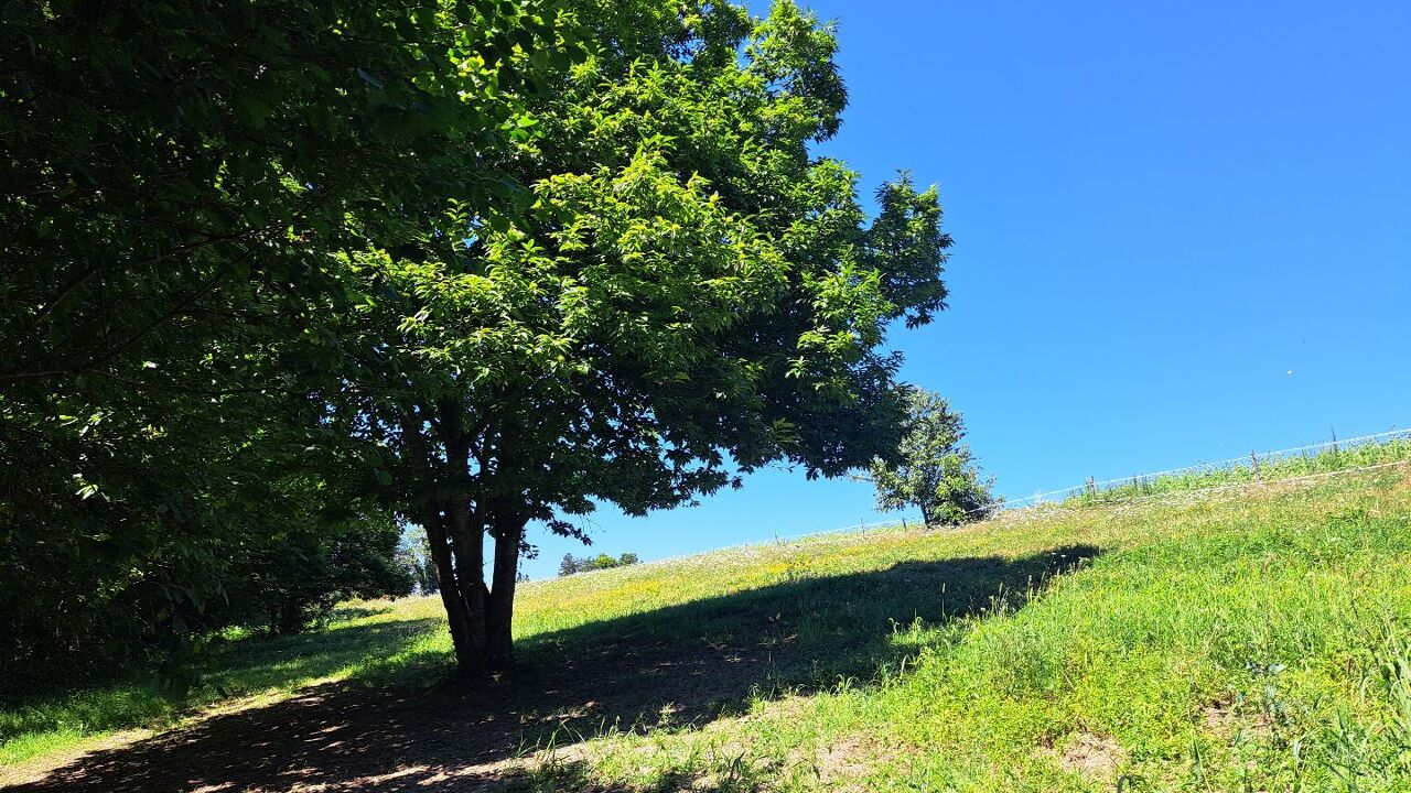 terrain  pièces 11000 m2 à vendre à Juillac (19350)