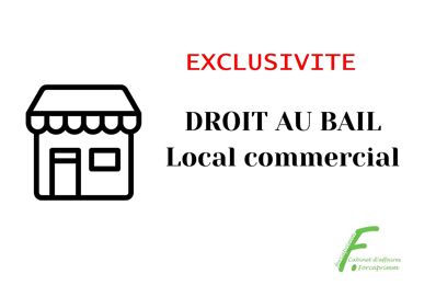 vente commerce 30 000 € à proximité de Virignin (01300)