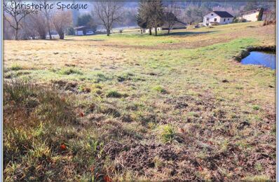 terrain  pièces 2355 m2 à vendre à Chabreloche (63250)