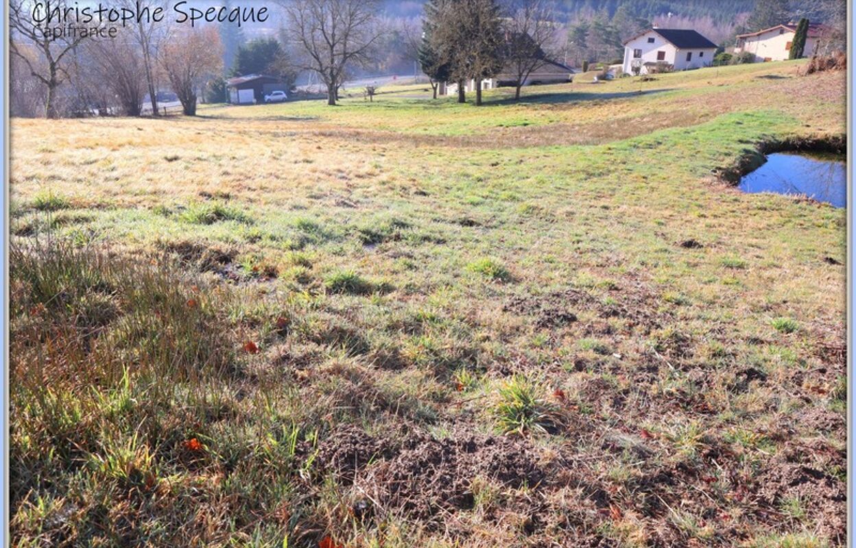 terrain  pièces 2355 m2 à vendre à Chabreloche (63250)