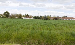 Terrain  1590 m² à vendre à Pleumartin (86450)