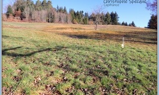 Terrain  2586 m² à vendre à Chabreloche (63250)