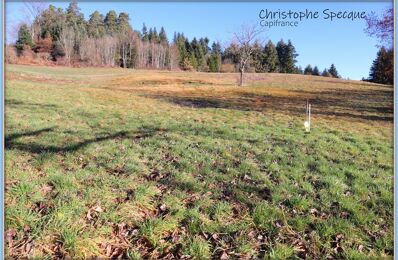 terrain  pièces 2586 m2 à vendre à Chabreloche (63250)