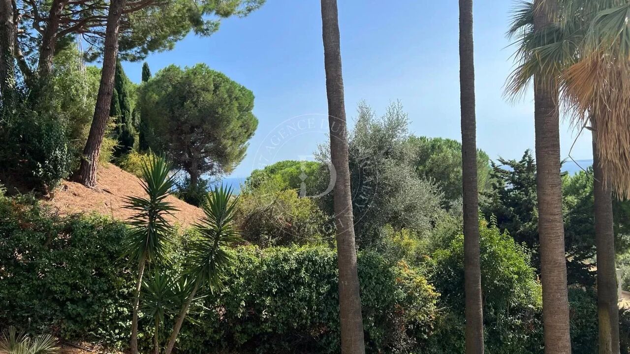 appartement 1 pièces 25 m2 à vendre à Nice (06200)