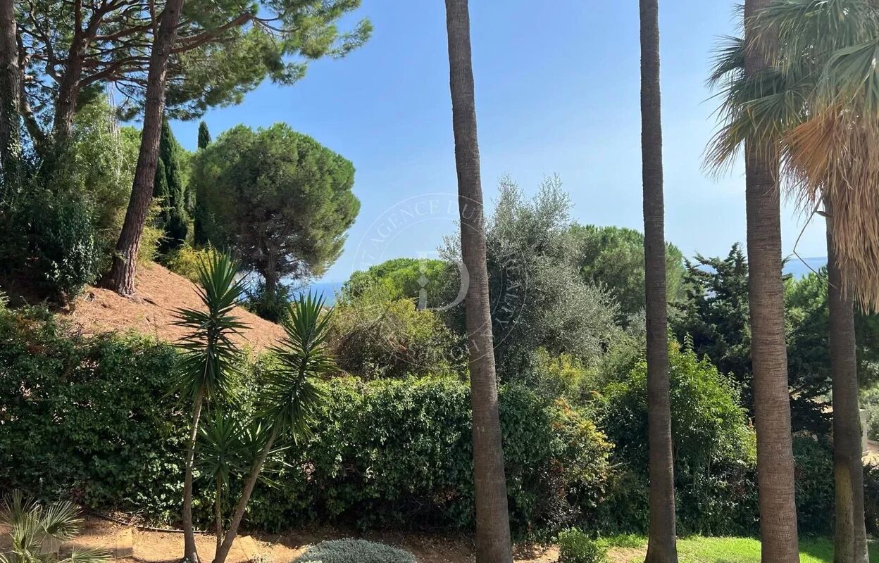 appartement 1 pièces 25 m2 à vendre à Nice (06200)