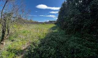 Terrain  2400 m² à vendre à Caderousse (84860)