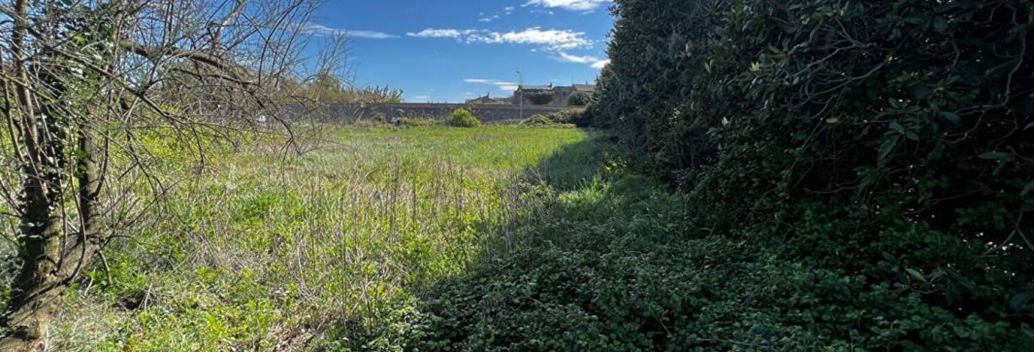 Terrain  2400 m² à vendre à Caderousse (84860)