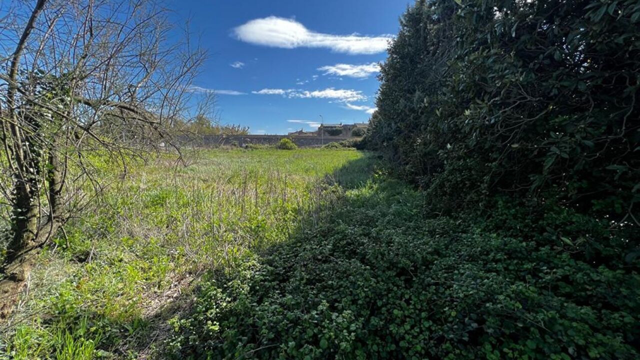 terrain  pièces 2400 m2 à vendre à Orange (84100)