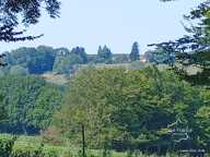 AISNE - MARLY-GOMONT - Charmante maison de campagne sur 7590 — photo 3