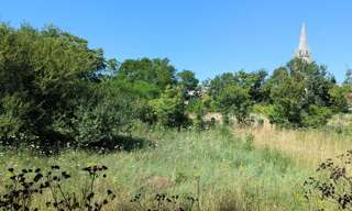 Terrain  1884 m² à vendre à Marennes-Hiers-Brouage (17320)