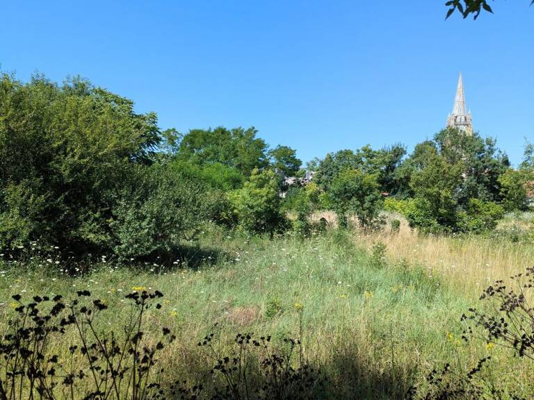 Opportunité Marennes terrain multi-constructions — photo 1
