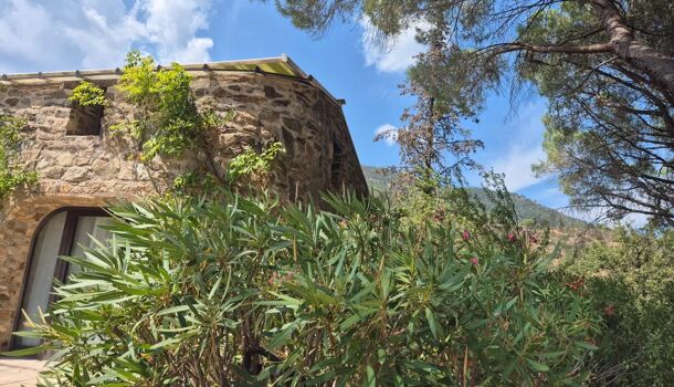 Villa / Maison 10 pièces  à vendre Plan-de-la-Tour (Le) 83120