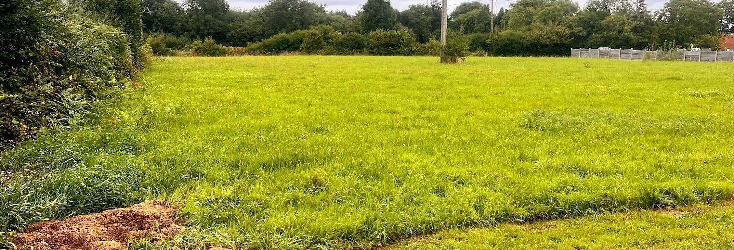 Terrain  782 m² à vendre à Savigny (50210)