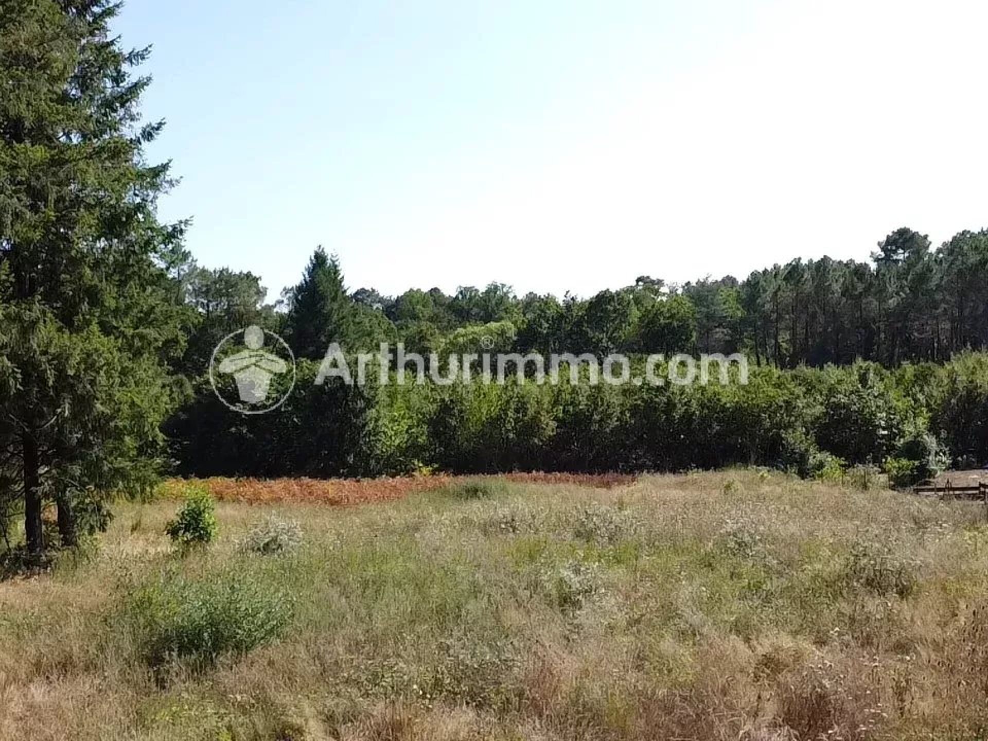 Vente Terrain 2921 m2 à Neuvic · 30 000 €