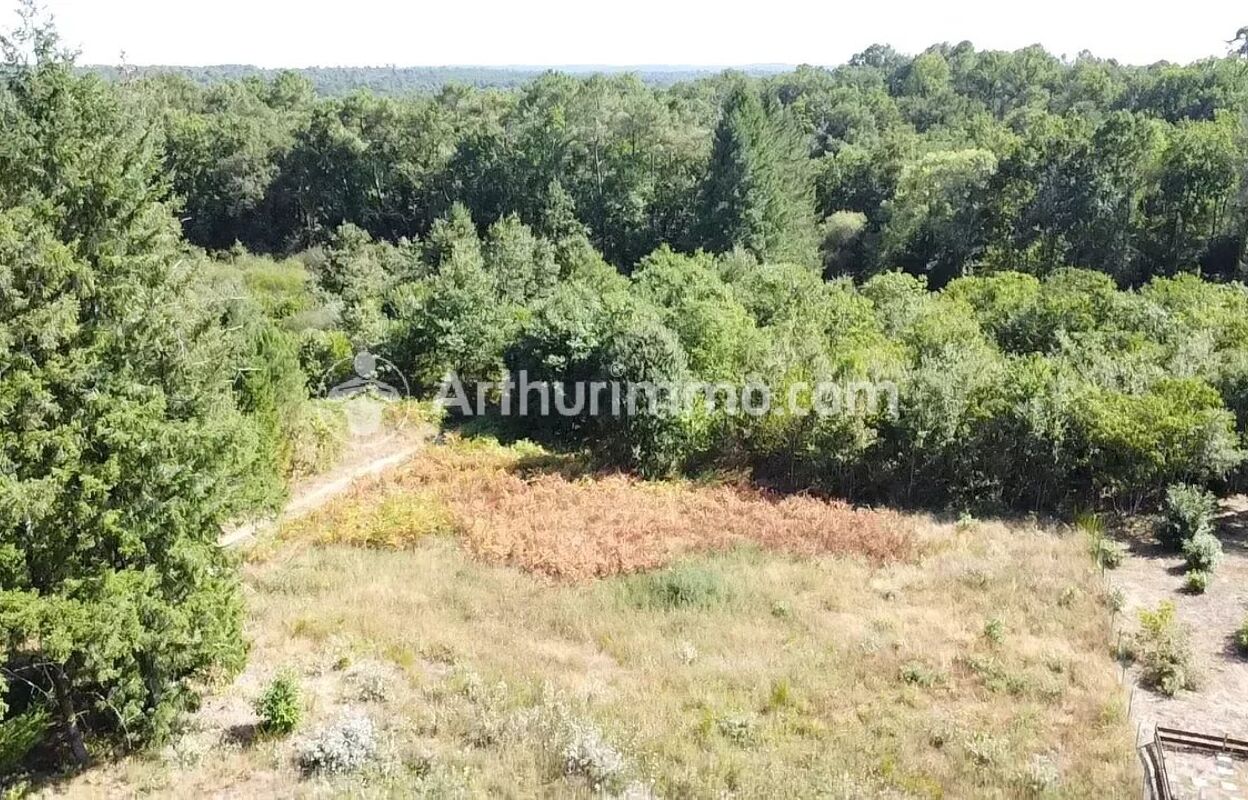 terrain  pièces 7900 m2 à vendre à Neuvic (24190)