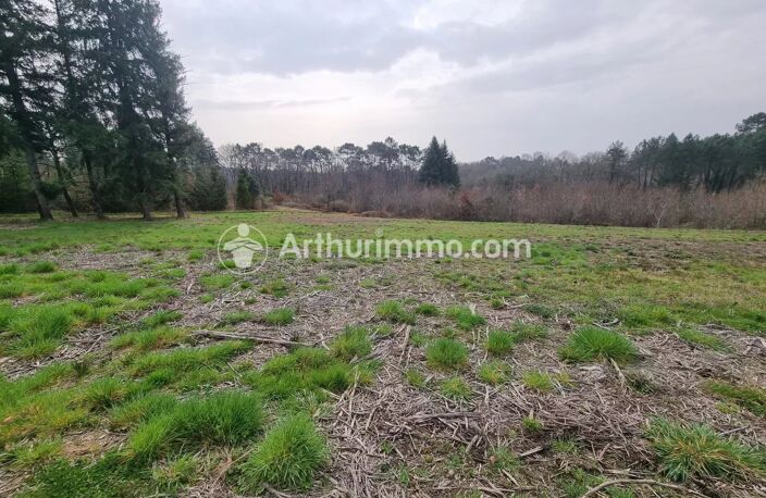 Terrain à batir de 7900 m² — photo 4