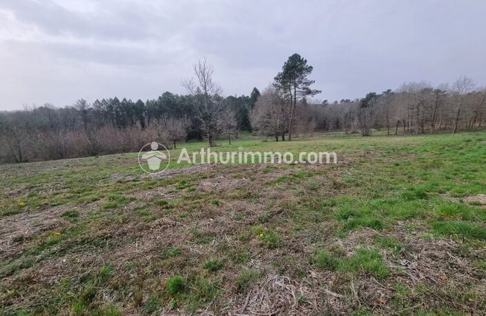 Terrain à batir de 7900 m² — photo 5