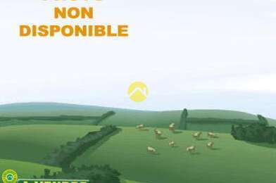 Maison 1 pièces 10000 €