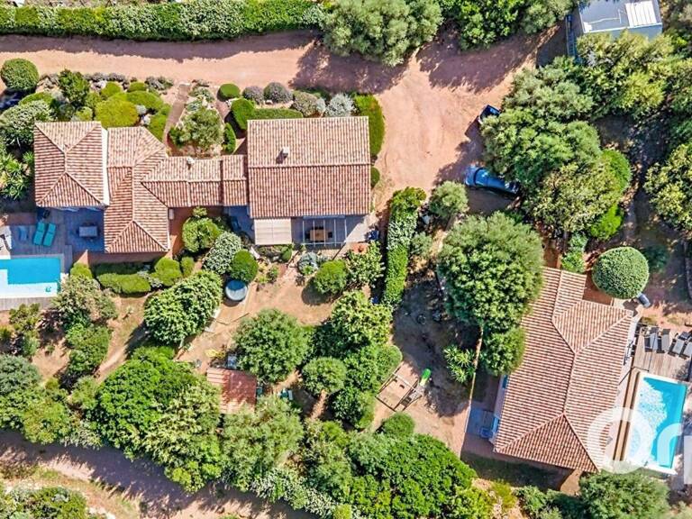 Ensemble 3 villas avec piscine à PORTO VECCHIO — photo 1