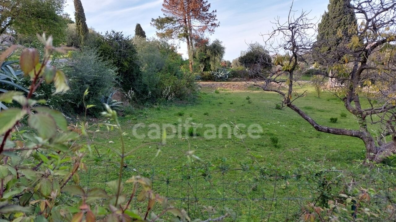 maison 3 pièces 91 m2 à vendre à Borgo (20290)