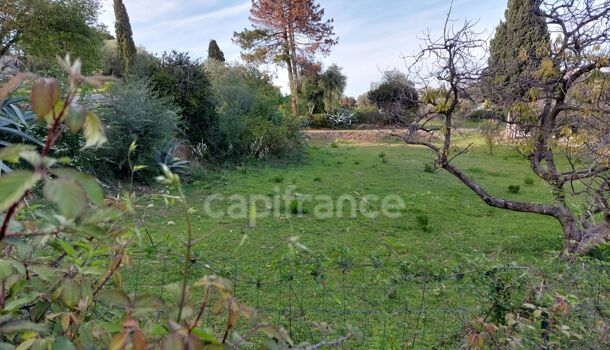 Villa / Maison 3 pièces  à vendre Borgo 20290