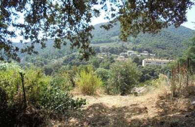 terrain  pièces 1965 m2 à vendre à Vico (20160)