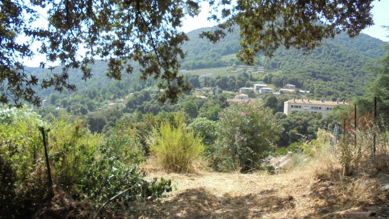 terrain  pièces 1965 m2 à vendre à Vico (20160)