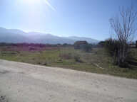 ENTRE CERET ET SAINT JEAN PLA DE CORTS — photo 2