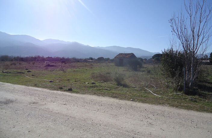 ENTRE CERET ET SAINT JEAN PLA DE CORTS — photo 2