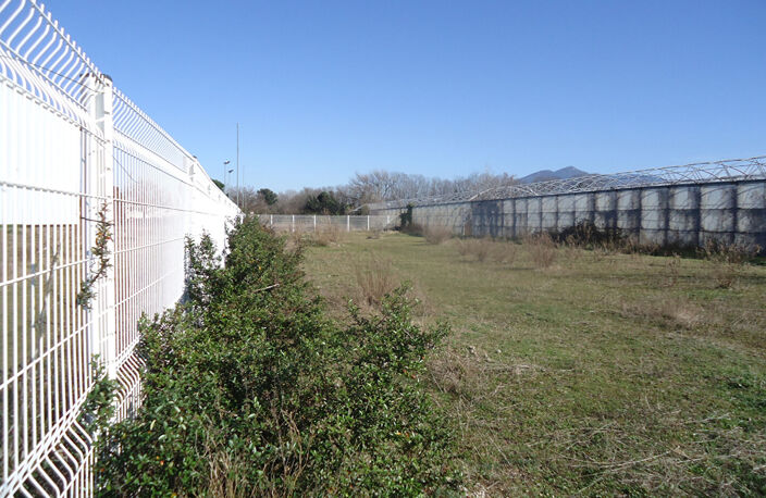 ENTRE CERET ET SAINT JEAN PLA DE CORTS — photo 4