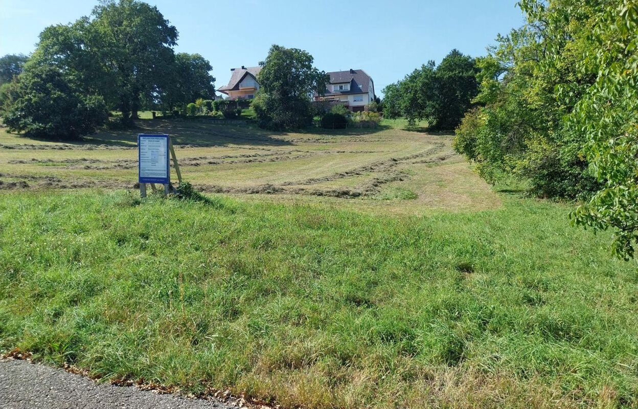 terrain  pièces 643 m2 à vendre à Saverne (67700)