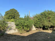 Grange — photo 4