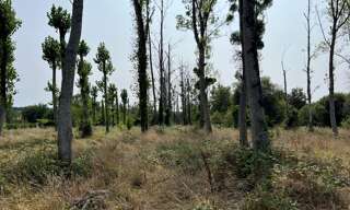 Terrain   m² à vendre à Grignols (33690)