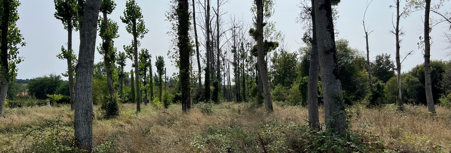 Terrain   m² à vendre à Grignols (33690)