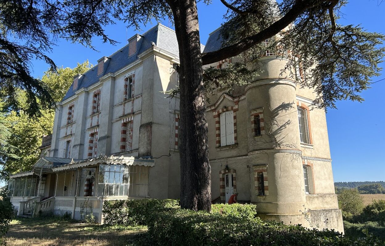 maison 10 pièces 820 m2 à vendre à Calmont (31560)