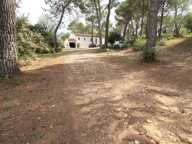 vente maison - 5 pièce(s) — photo 3