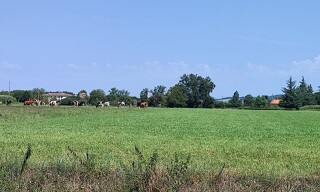Photo N° 9