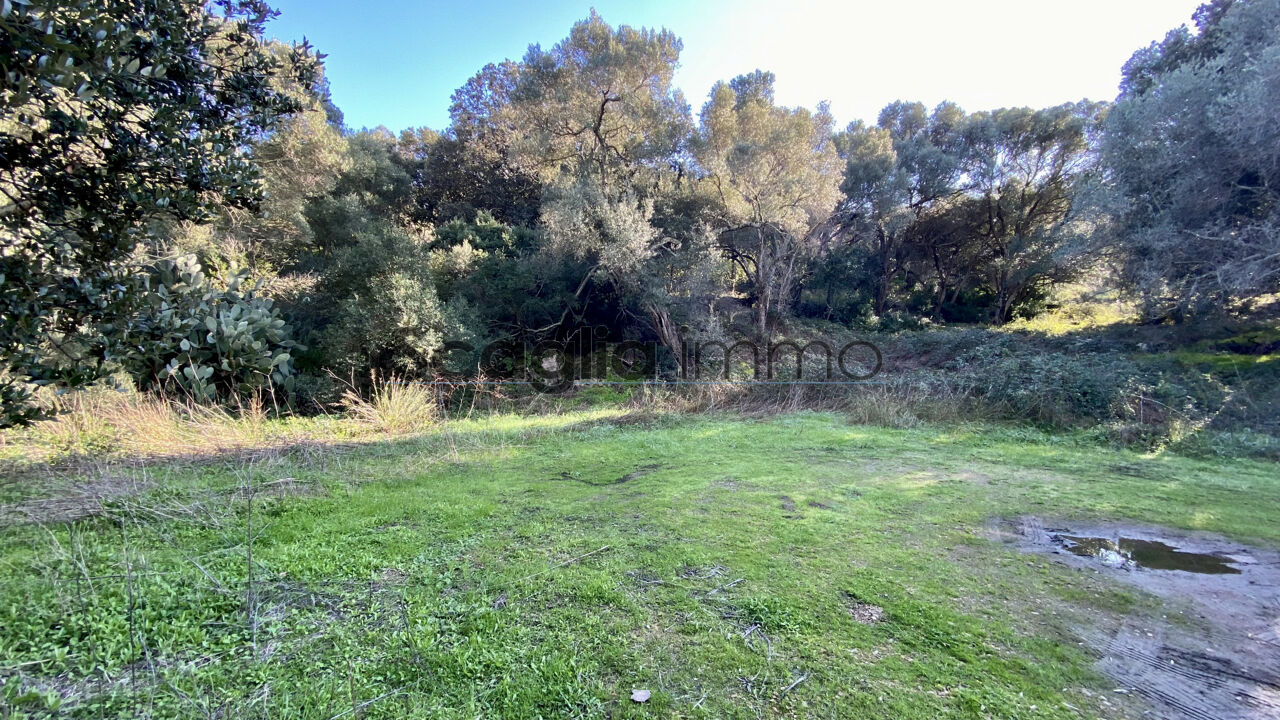 terrain  pièces 1017 m2 à vendre à Porto-Vecchio (20137)